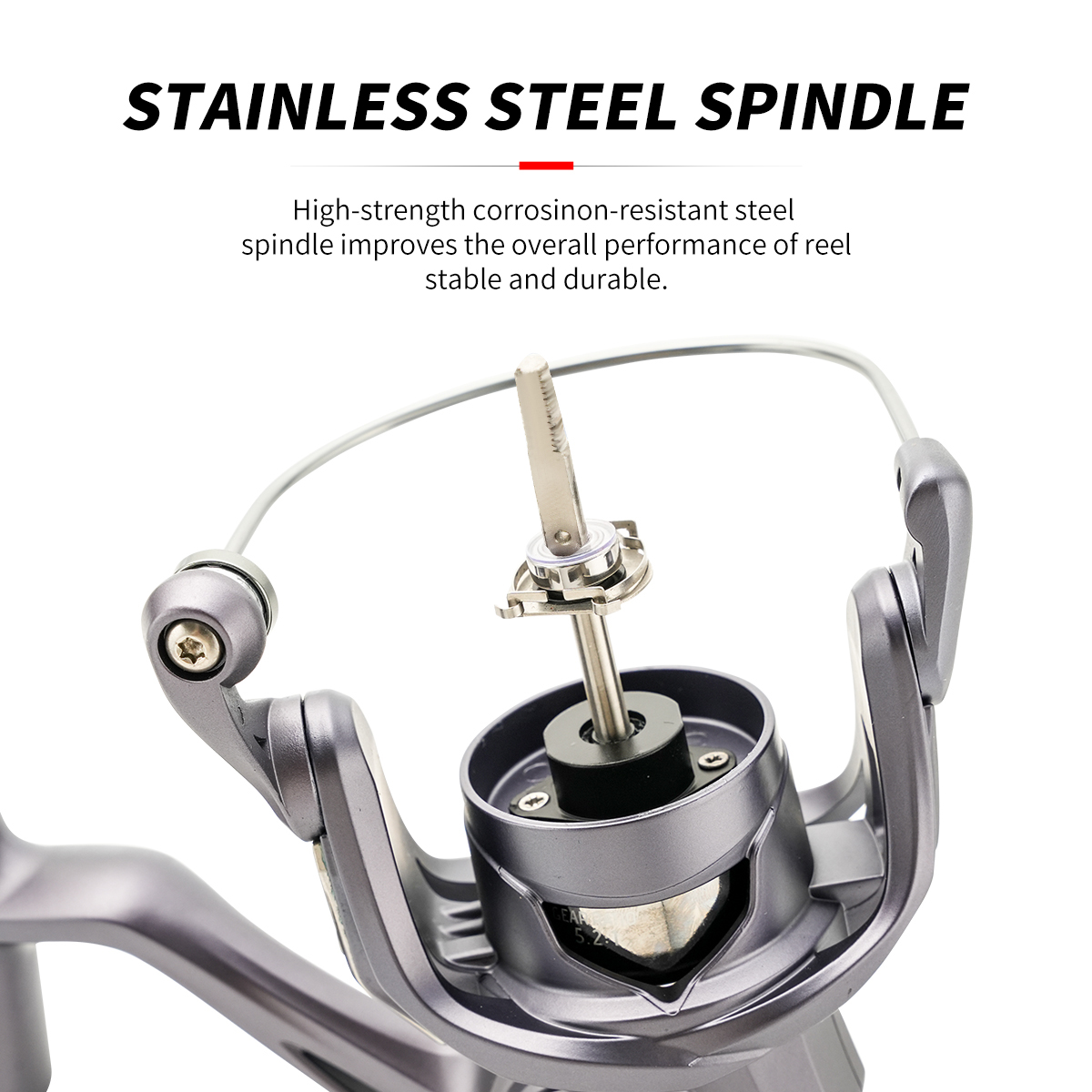 Johncoo Ravor Spinning Fishing - đánh giá và giá Daiwa Reel Bg